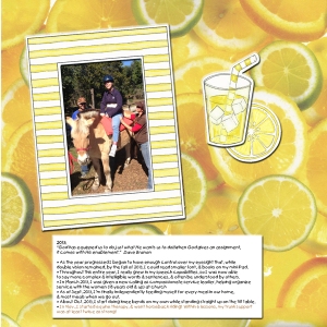 lemonade-2013-web